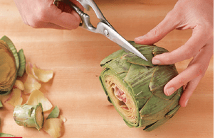 Snipping artichoke leaves with scissors. 