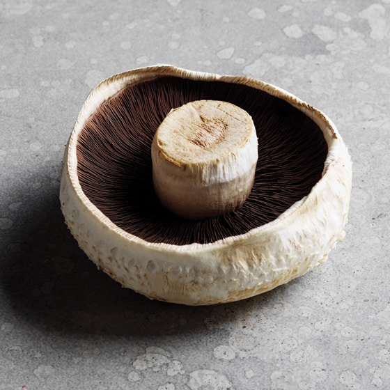 A flat mushroom. 