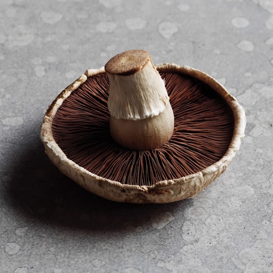 A portabello mushroom.