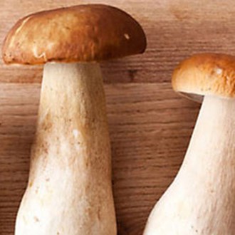 Cepe mushrooms.