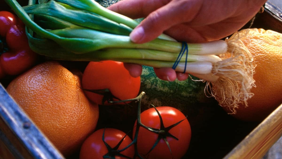 Washing Your Fruit and Vegetables - Salads with Anastasia