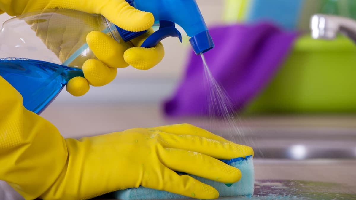 Gloved hands spraying detergent on a bench and cleaning it with a sponge.