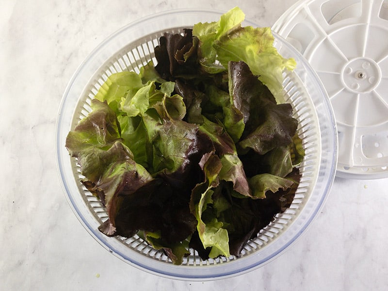 Red leaf lettuce in a salad spinner.