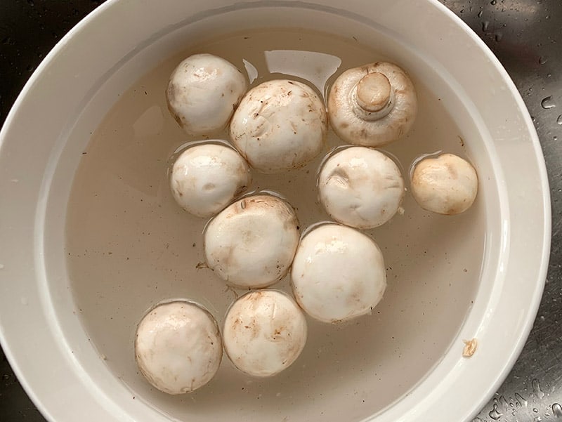 REMOVE-MUSHROOMS-FROM-WATER