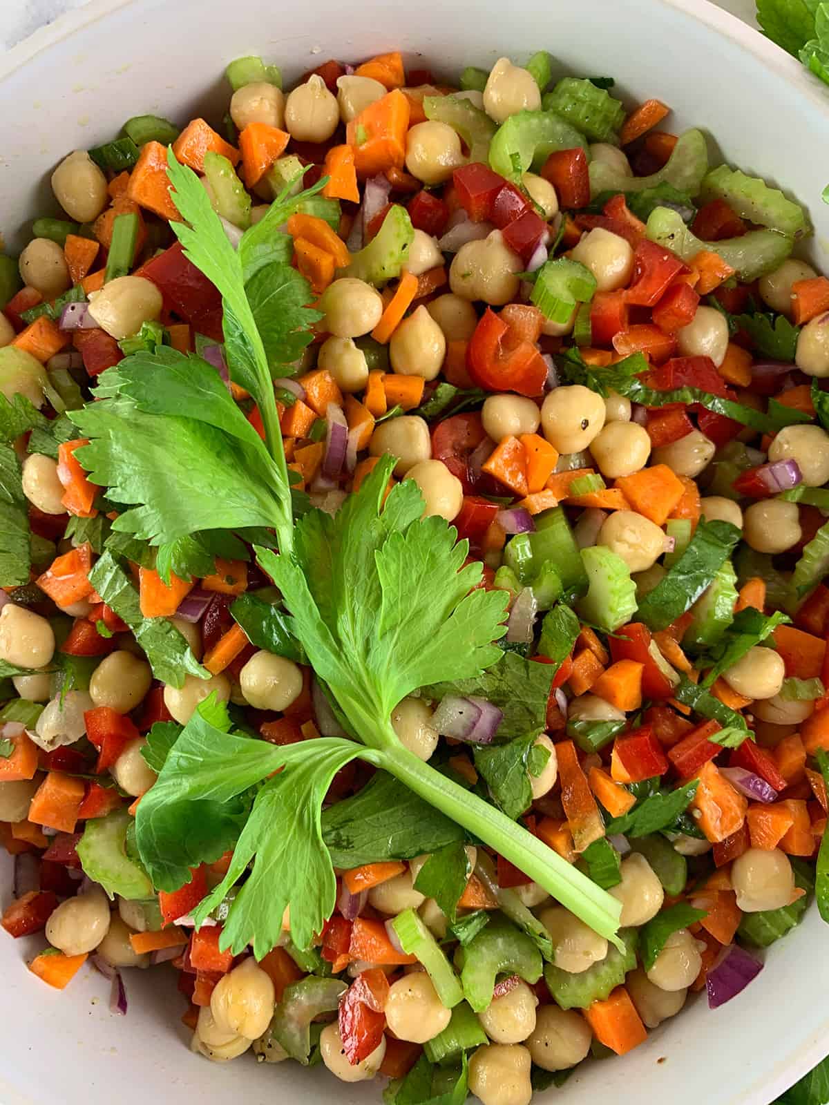 A close up of garbanzo or chickpea salad with a celery sprig on top. 