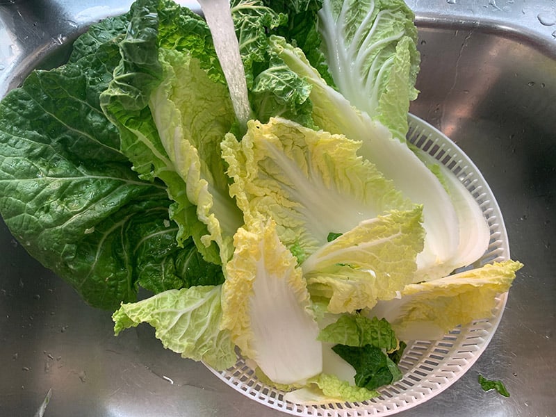 Chinese cabbage salad leaves are washed in a colander under water in the sink.