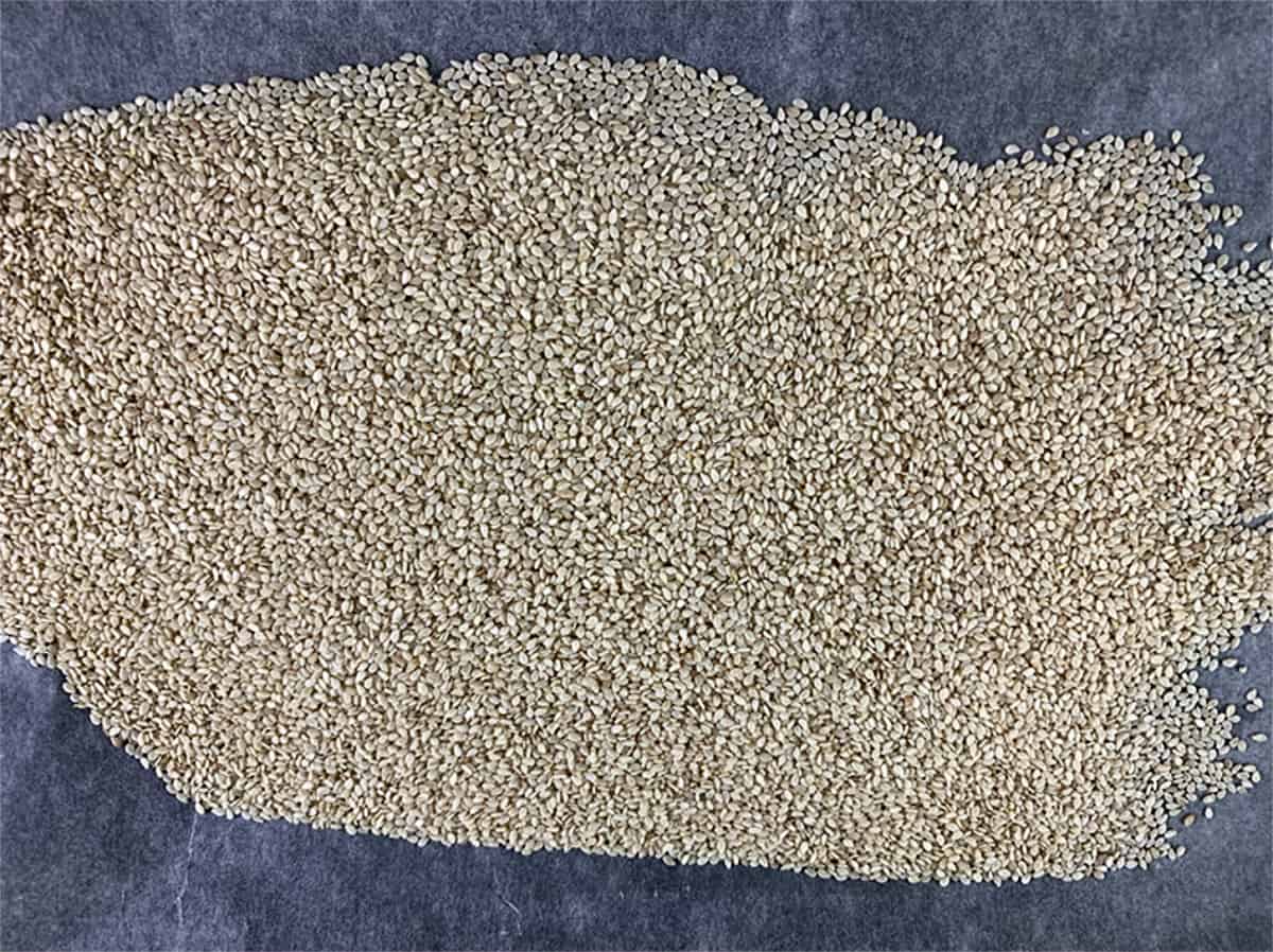Raw sesame seeds on a lined baking tray.