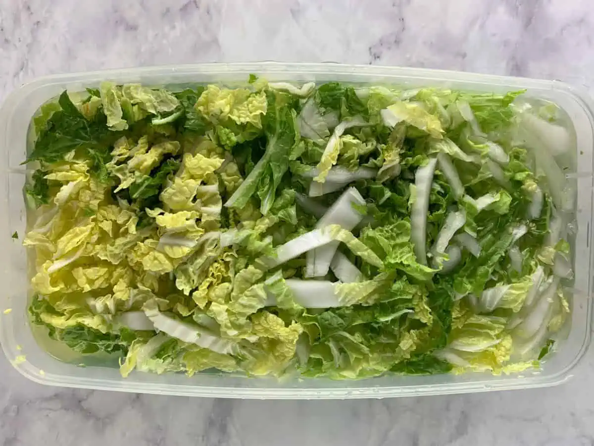 Shredded napa or Chinese cabbage in water.