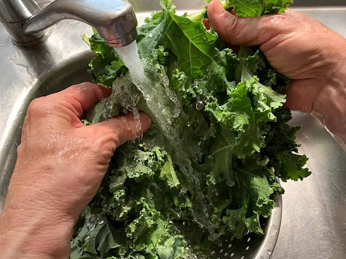 WASHING KALE UNDER COLD RUNNING WATER