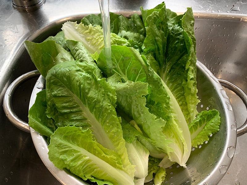 Lettuce is being washed in the sink in a colander. 