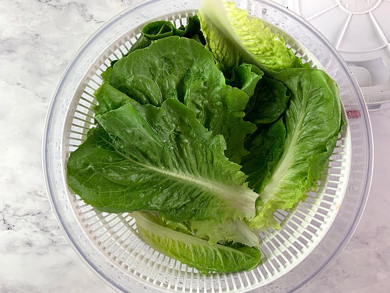 Romaine lettuce in a salad spinner being dried. 