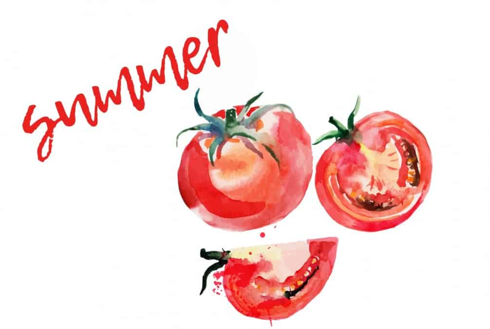 summer watercolour title