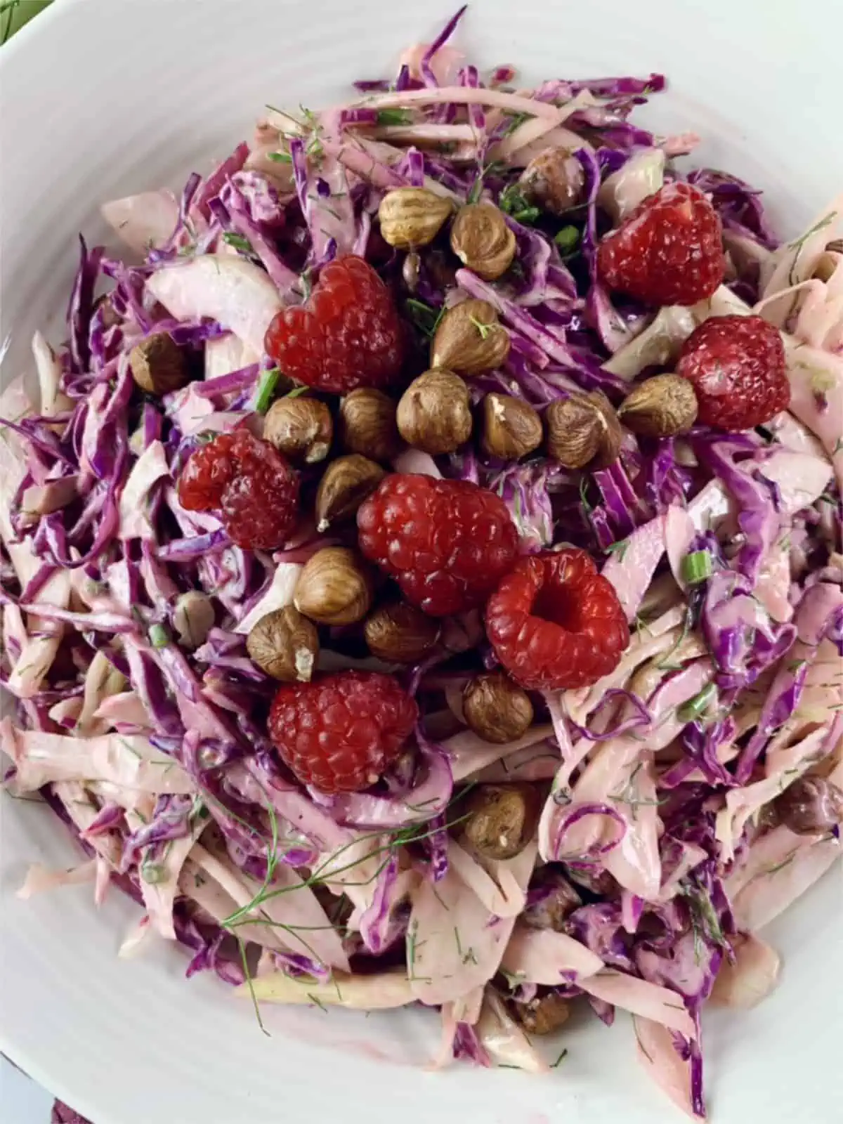Close up of red cabbage and fennel salad.