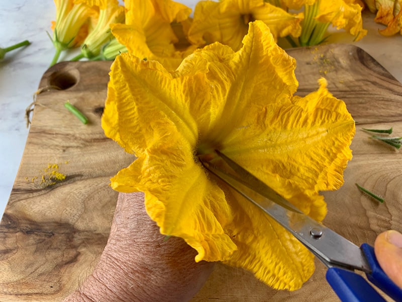 using scissors to cut off pumpkin flower stamen