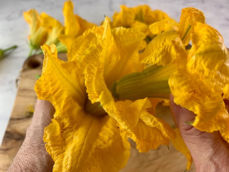 placing pumpkin flowers inside each other to store