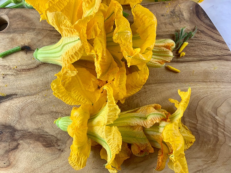 stacking up pumpkin flowers to store