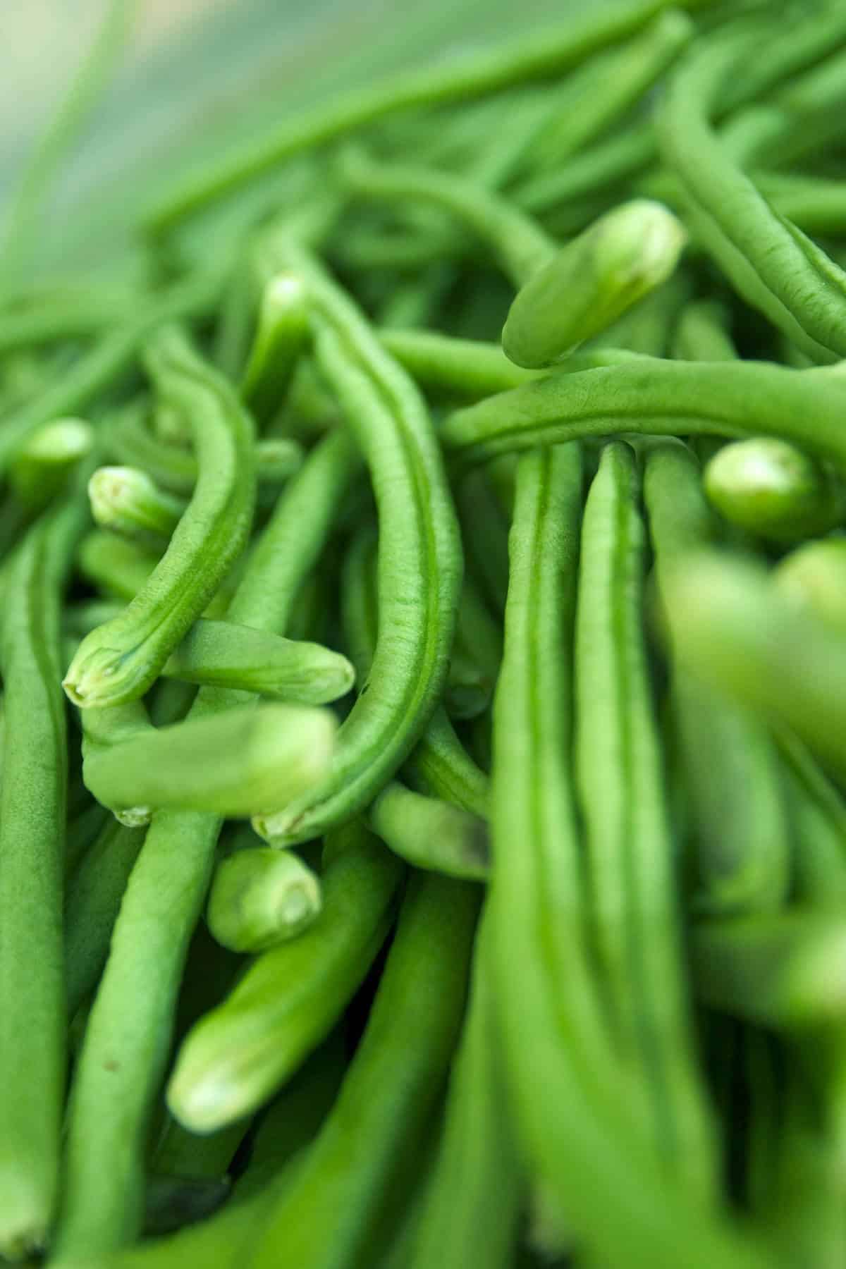 a close up of green beans