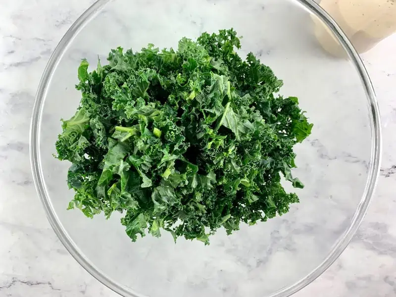 SHREDDED KALE IN MIXING BOWL