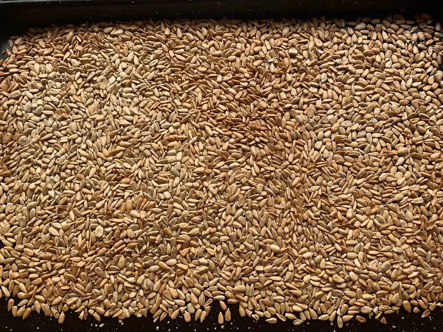 GOLDEN ROASTED SUNFLOWER SEEDS IN OVEN TRAY