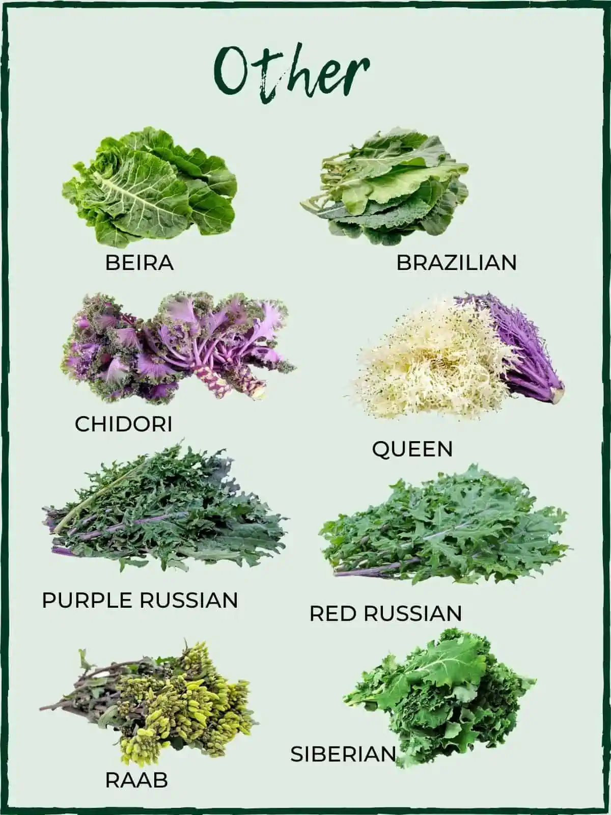 Types of Greens