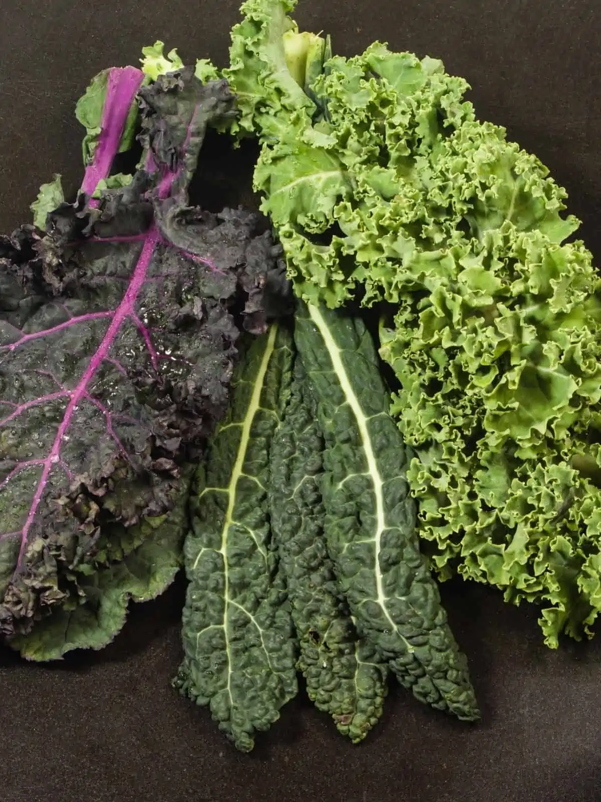 KALE VARIETIES IN PORTRAIT