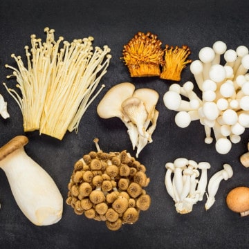 DIFFERENT TYPES OF MUSHROOMS ON A DARK GREY BACKGROUND