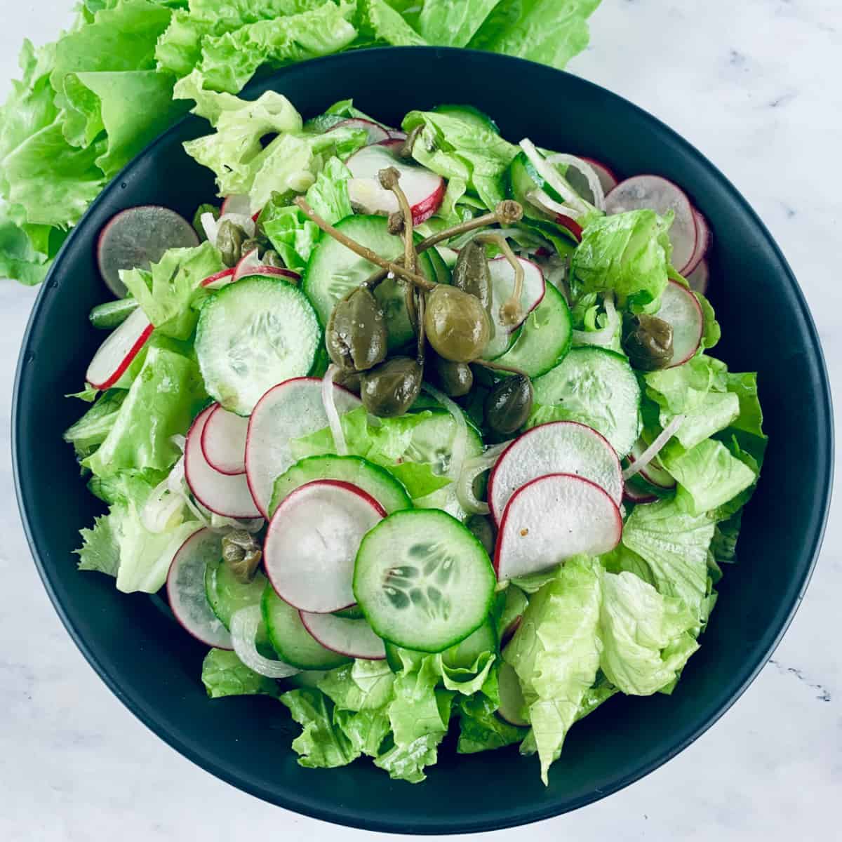 GREEN CORAL SALAD IN A BLACK BOWL WITH CURLY LETTUCE ON THE SIDE