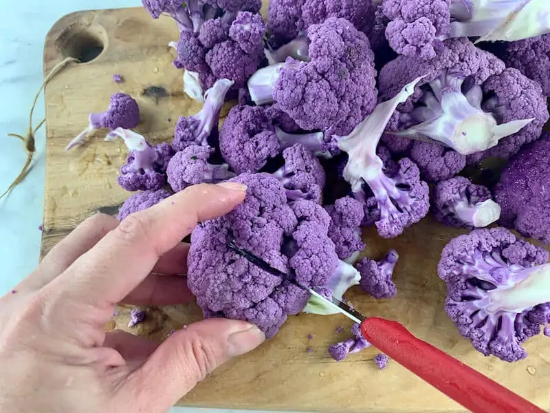 HANDS CUTTING PURPLE CAULIFLOWER INTO FLORETS WITH A RED KNIFE ON A WOODEN CHOPPING BOARD