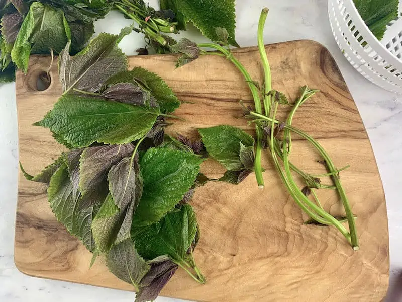 SHISO LEAVES STRIPPED FROM STEMS ON WOODEN BOARD