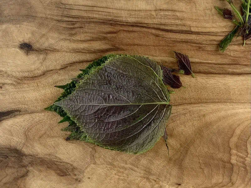 STACKED SHISO LEAVES ON WOODEN BOARD