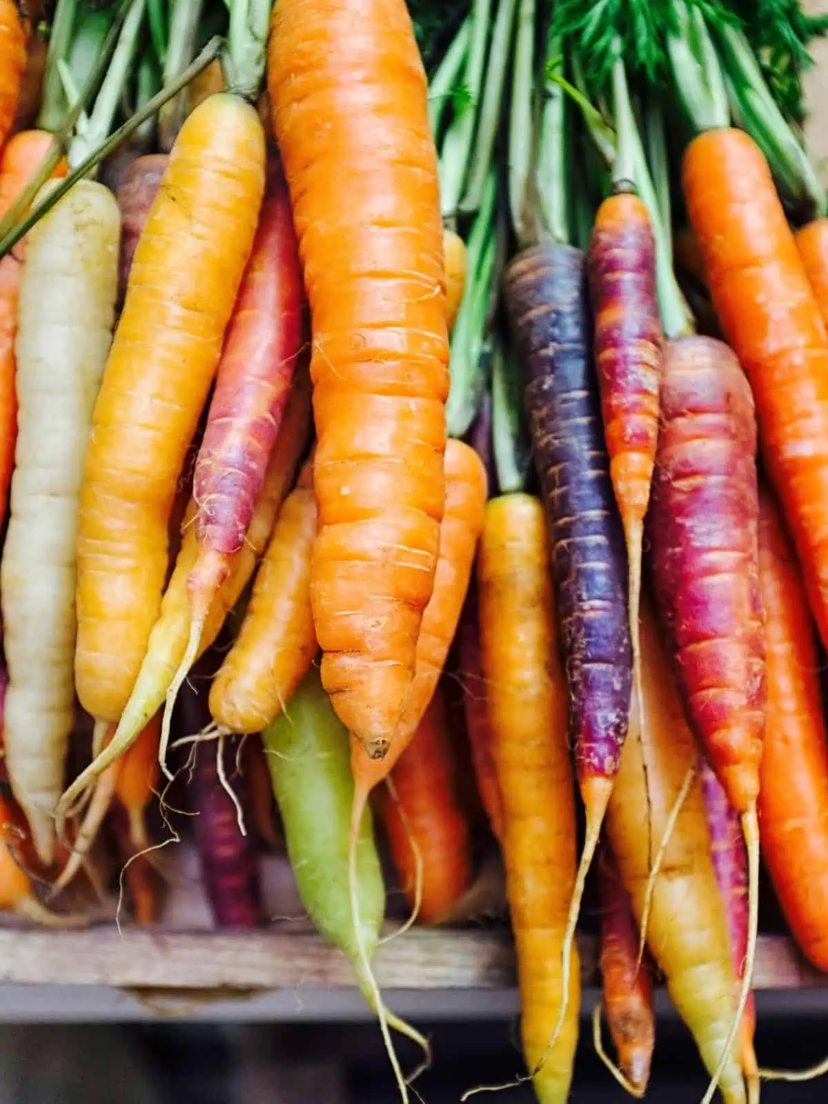 BUNCH OF COLOURFUL CARROTS IN A WOODEN CRATE