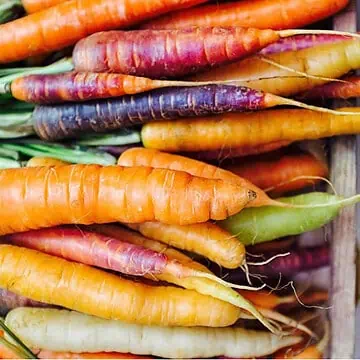 Bunch of colourful carrots in a wooden crate.