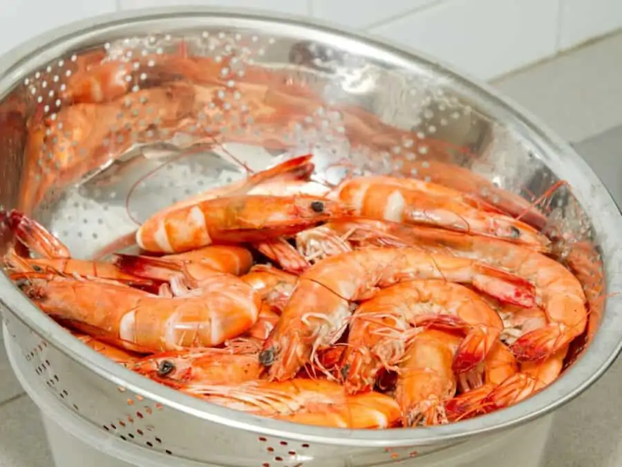 Cooked prawns in a colander over a bowl.