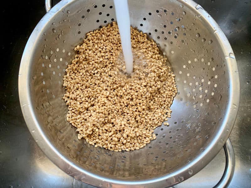 Raw barley being rinsed under water in a colander in the sink.