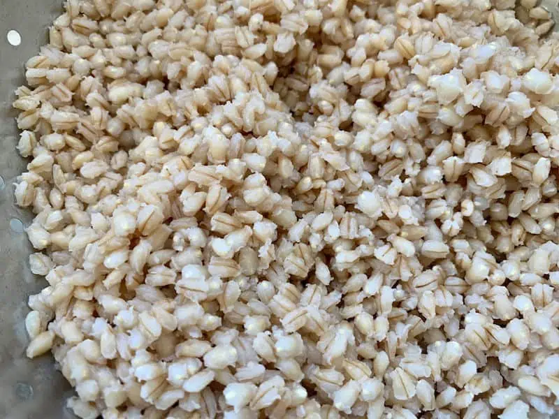 Close up of puffed up cooked barley.