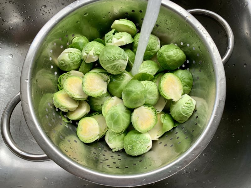 Sprouts in a colander in the sink with running water.