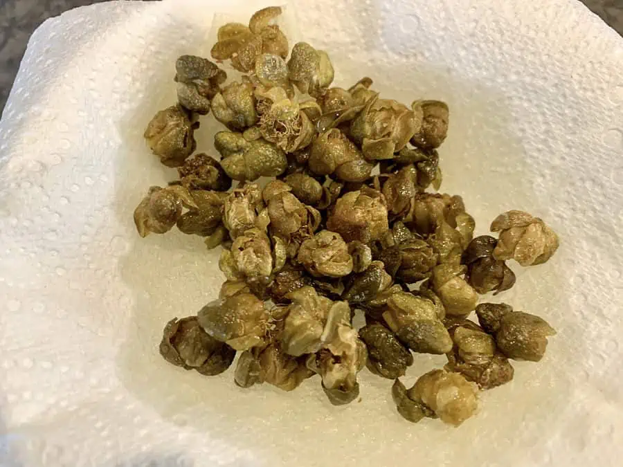 Fried capers on kitchen paper left for the oil to drain. 