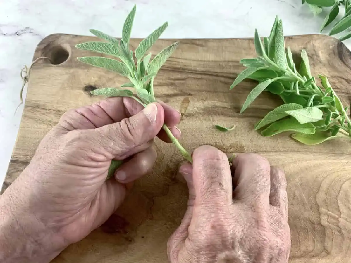 Hands stripping sage leaves from stems on a wooden board.