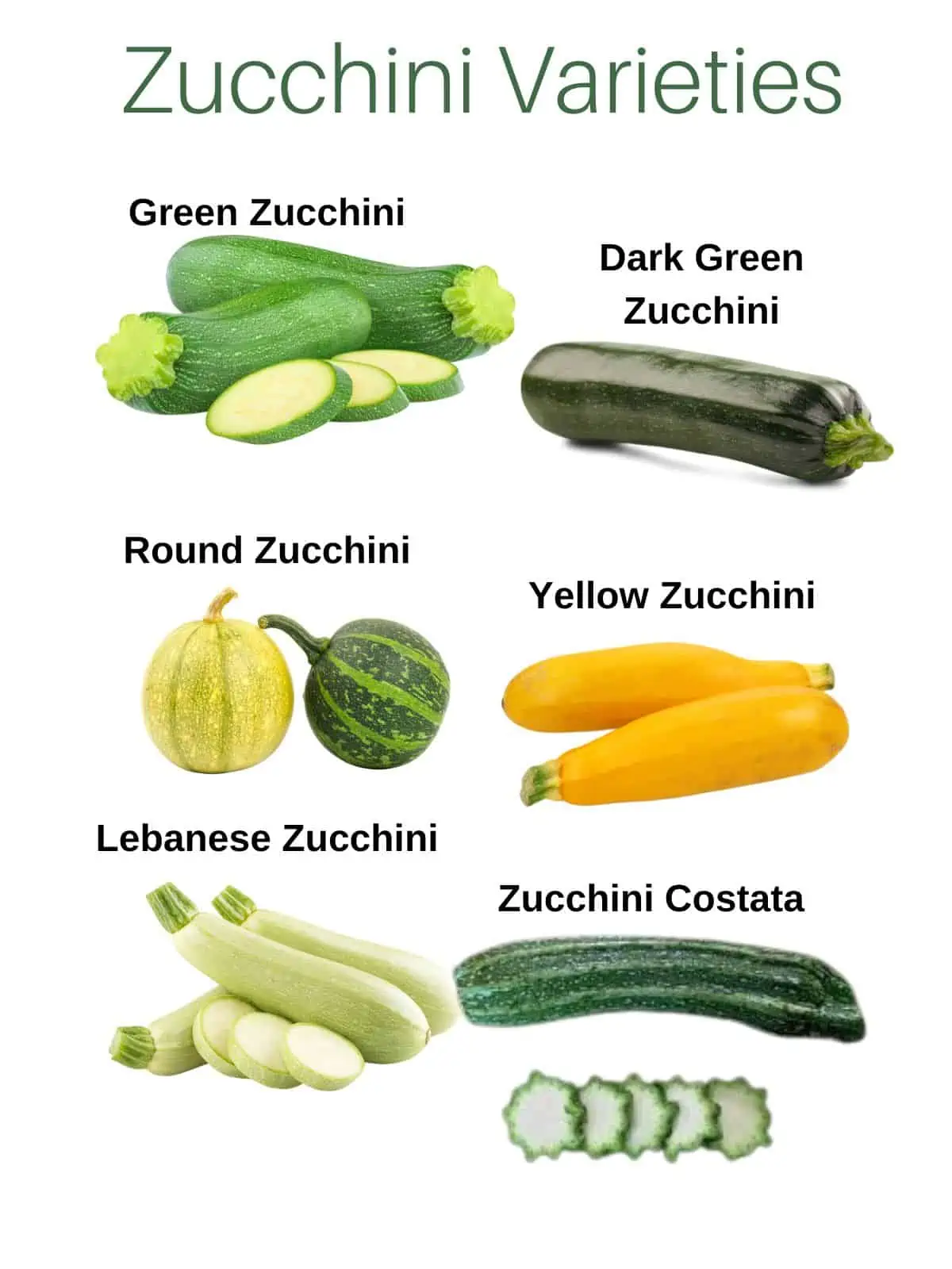 Labelled zucchini varieties.
