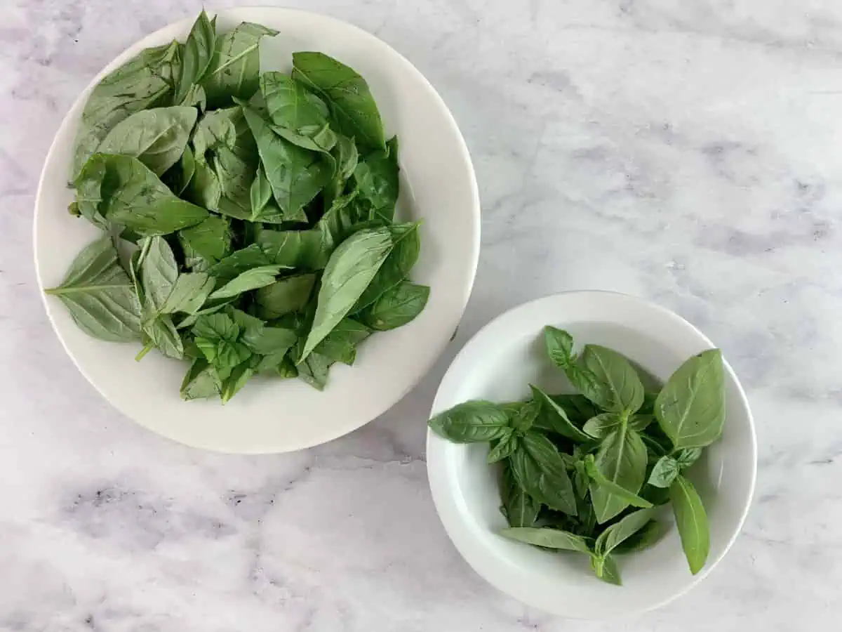 Cut up basil leaves and basil sprigs in two white bowls.