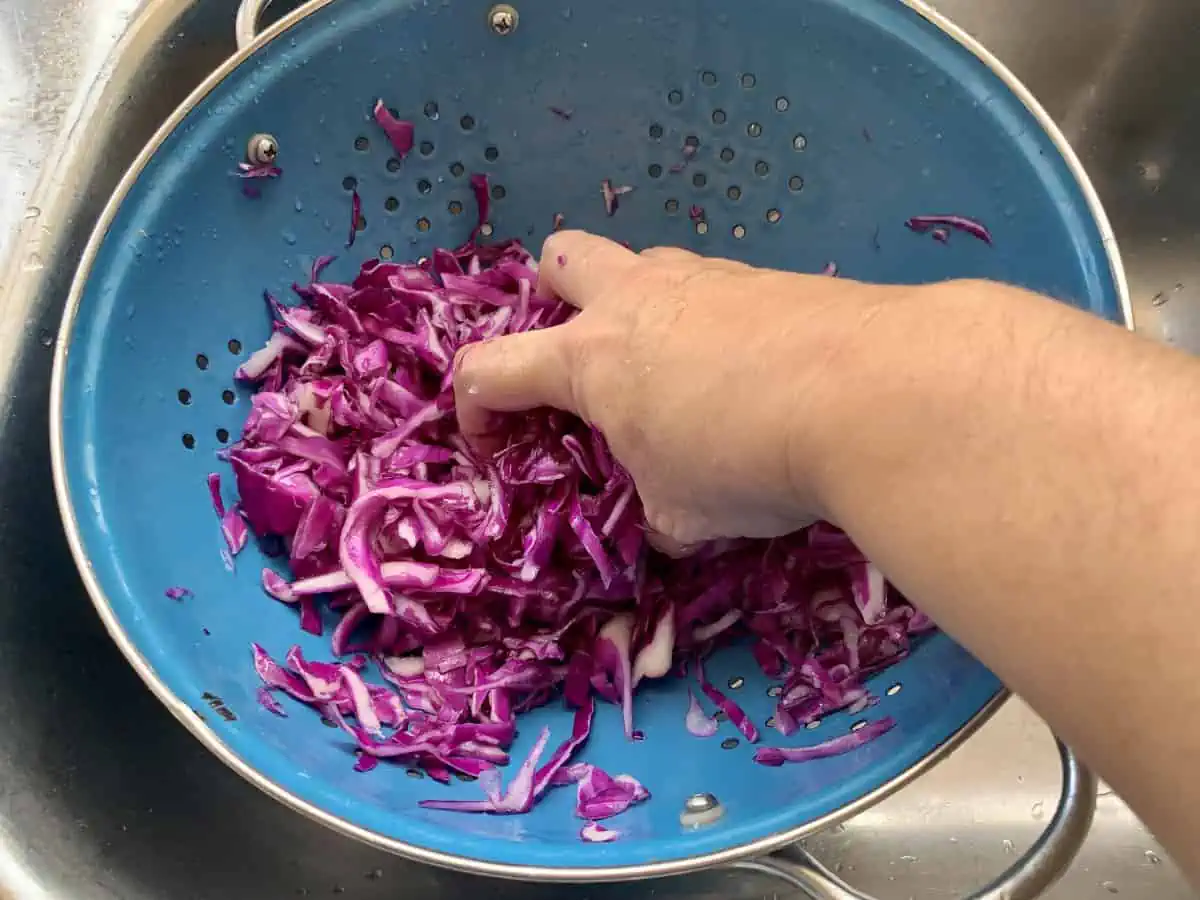 Hands massaging red cabbage with salt in a colander in the sink to soften it.