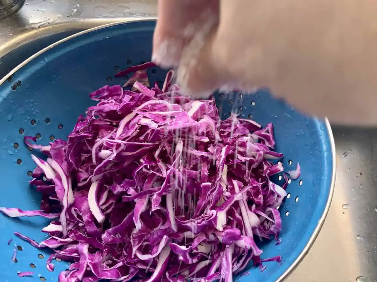Hands sprinkling salt on washed, shredded red cabbage in a colander.