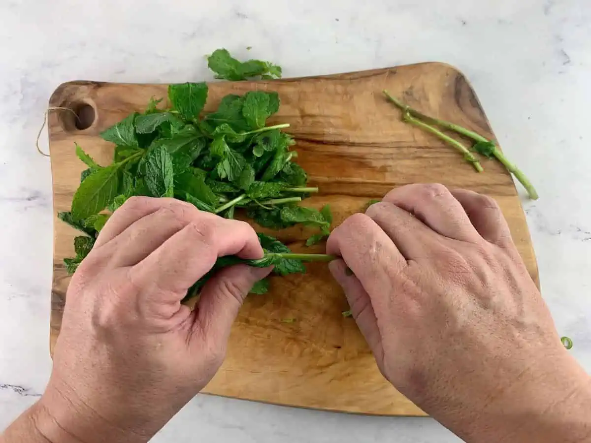 Hands mint leaves from stems on a wooden board.