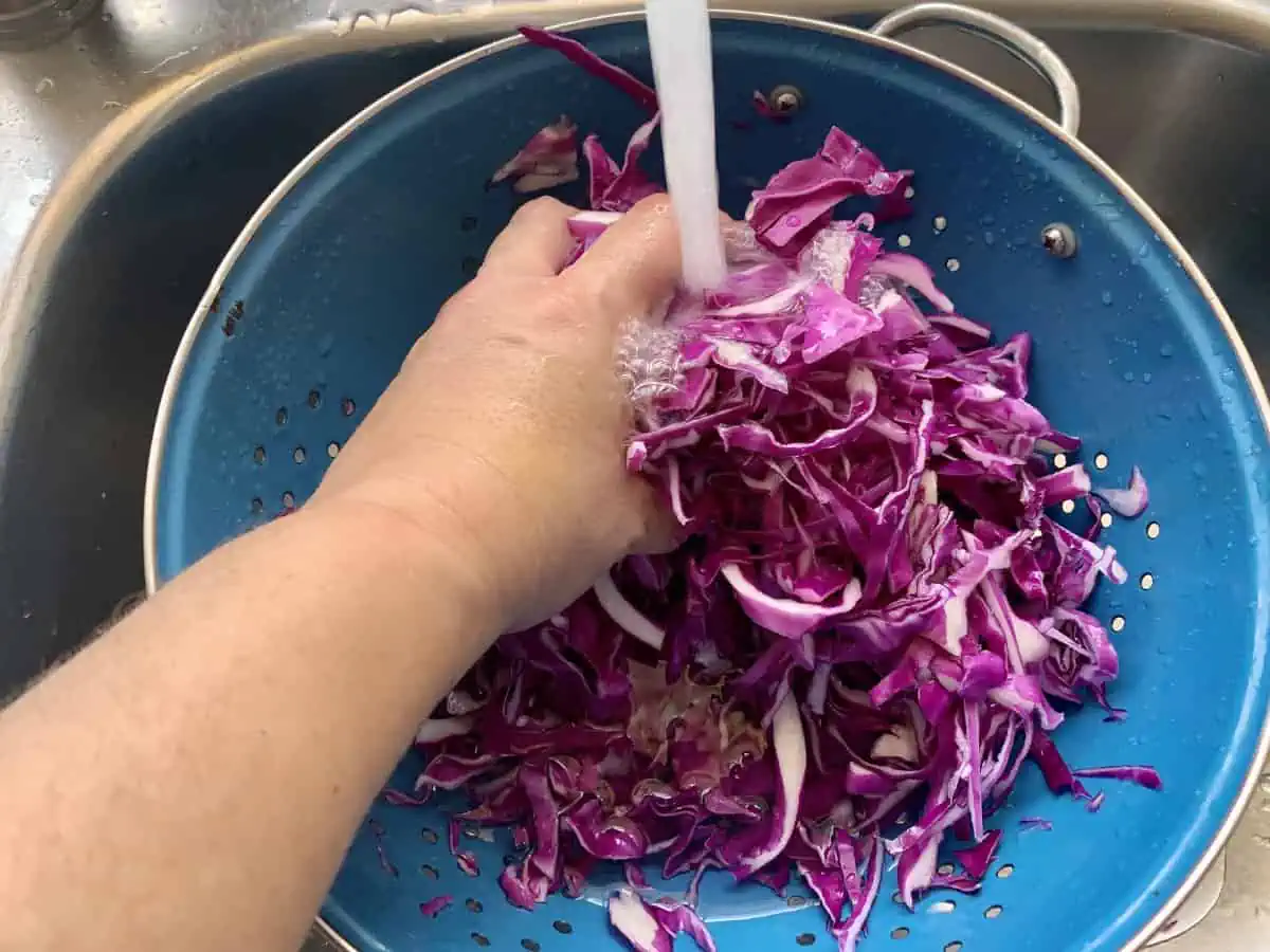 Hands washing shredded red cabbage in a colander under running water in the sink.