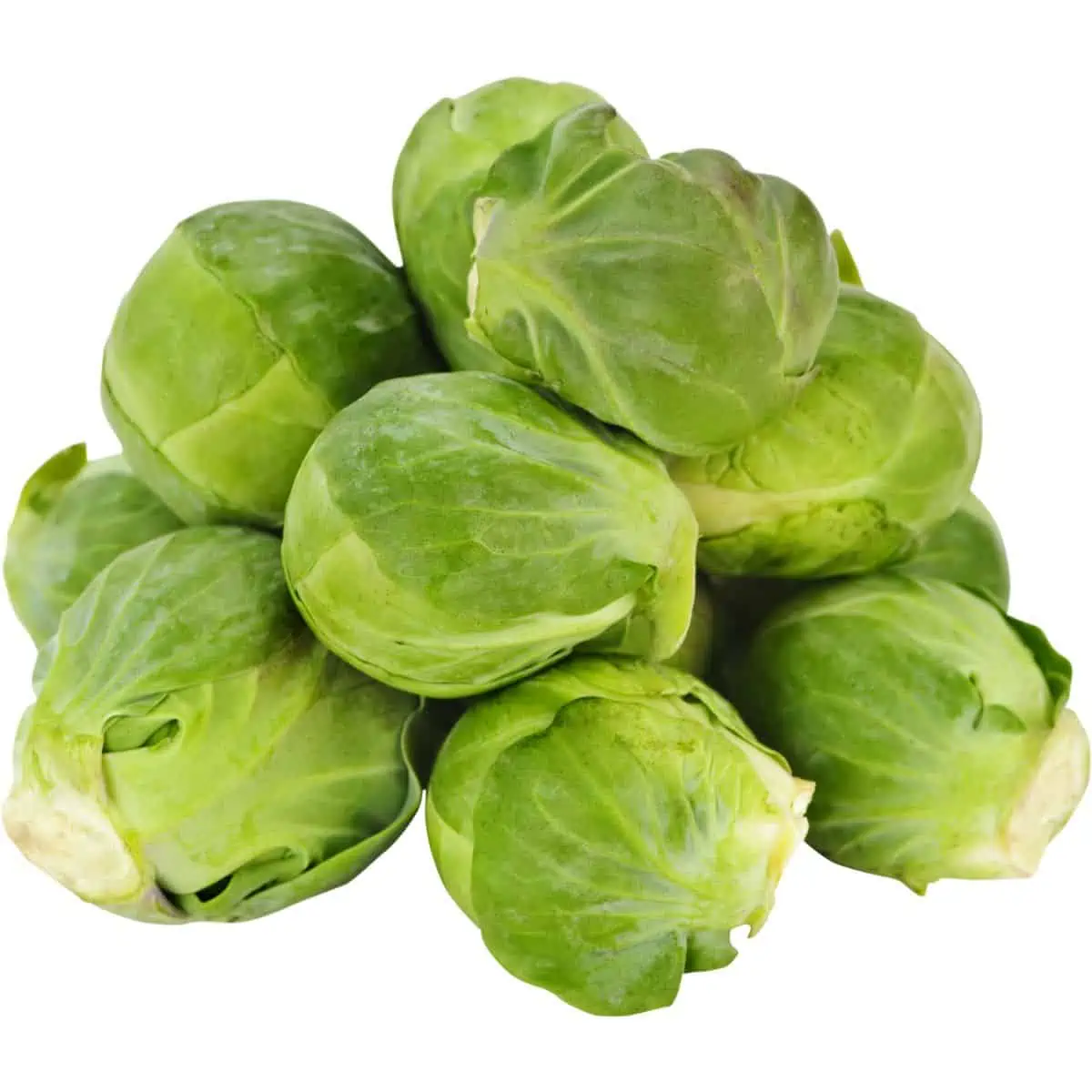 A pile of Brussels sprouts.