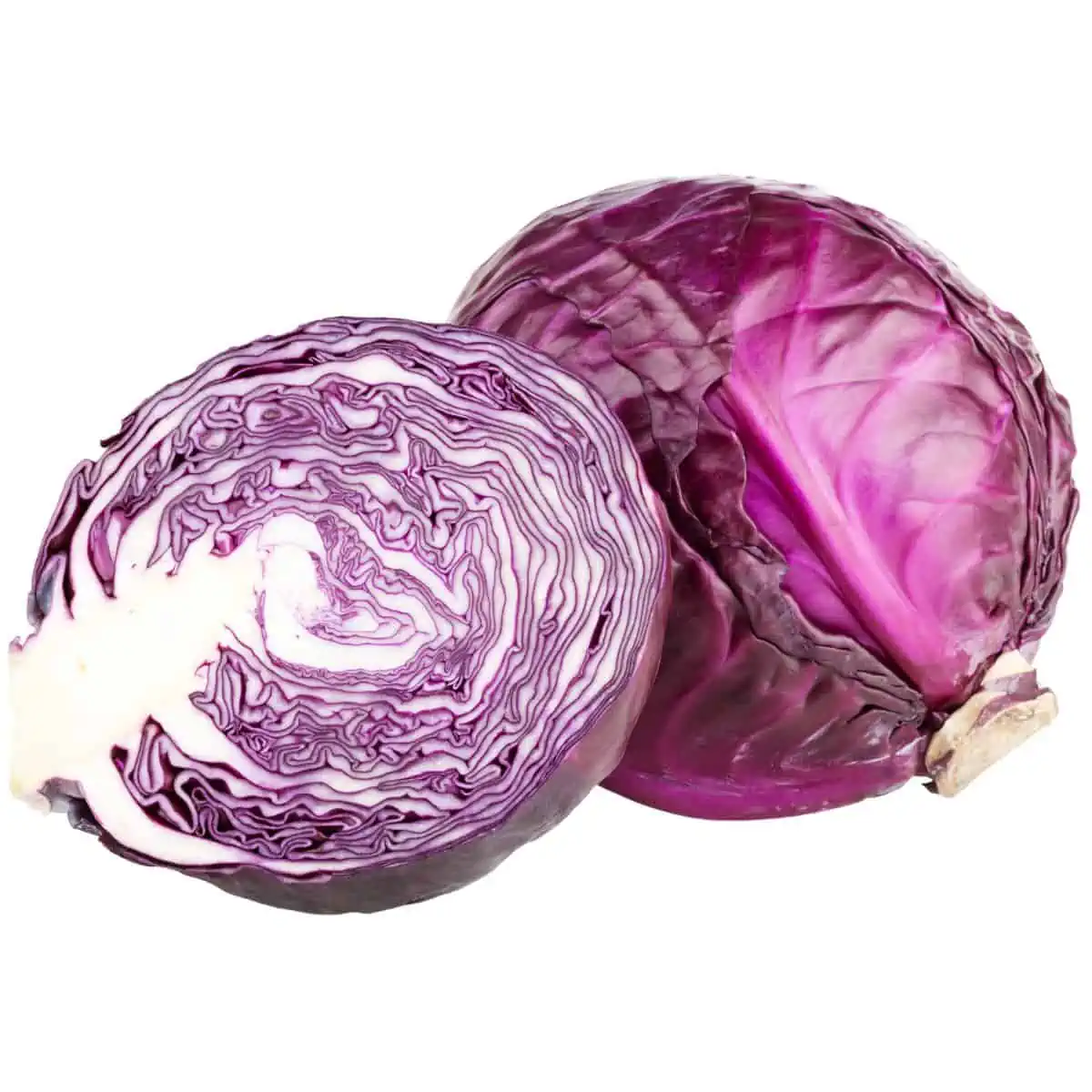 A whole red cabbage with a halved red cabbage sitting in front.