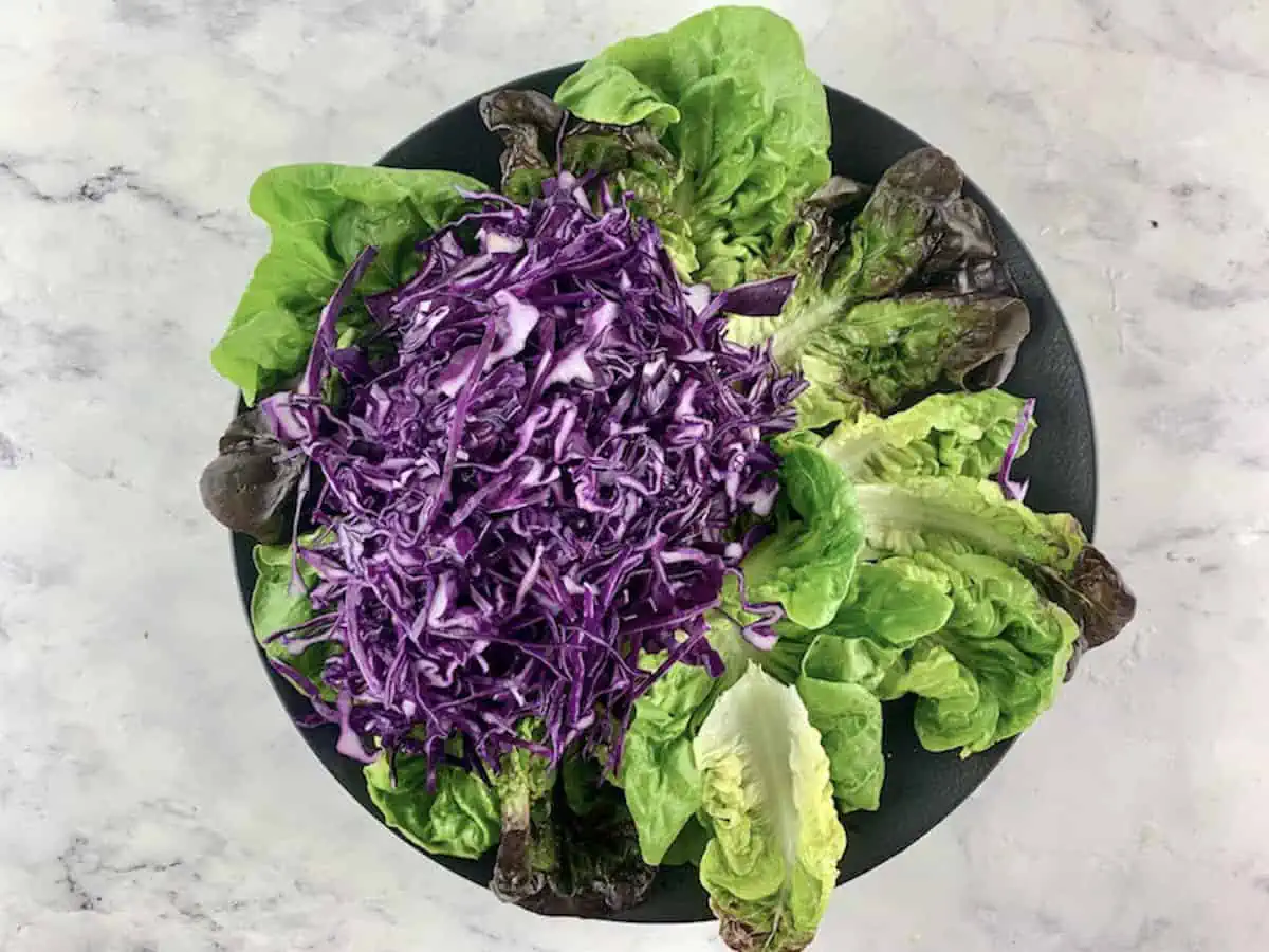 Adding the red cabbage on top of the arranged lettuce leaves.