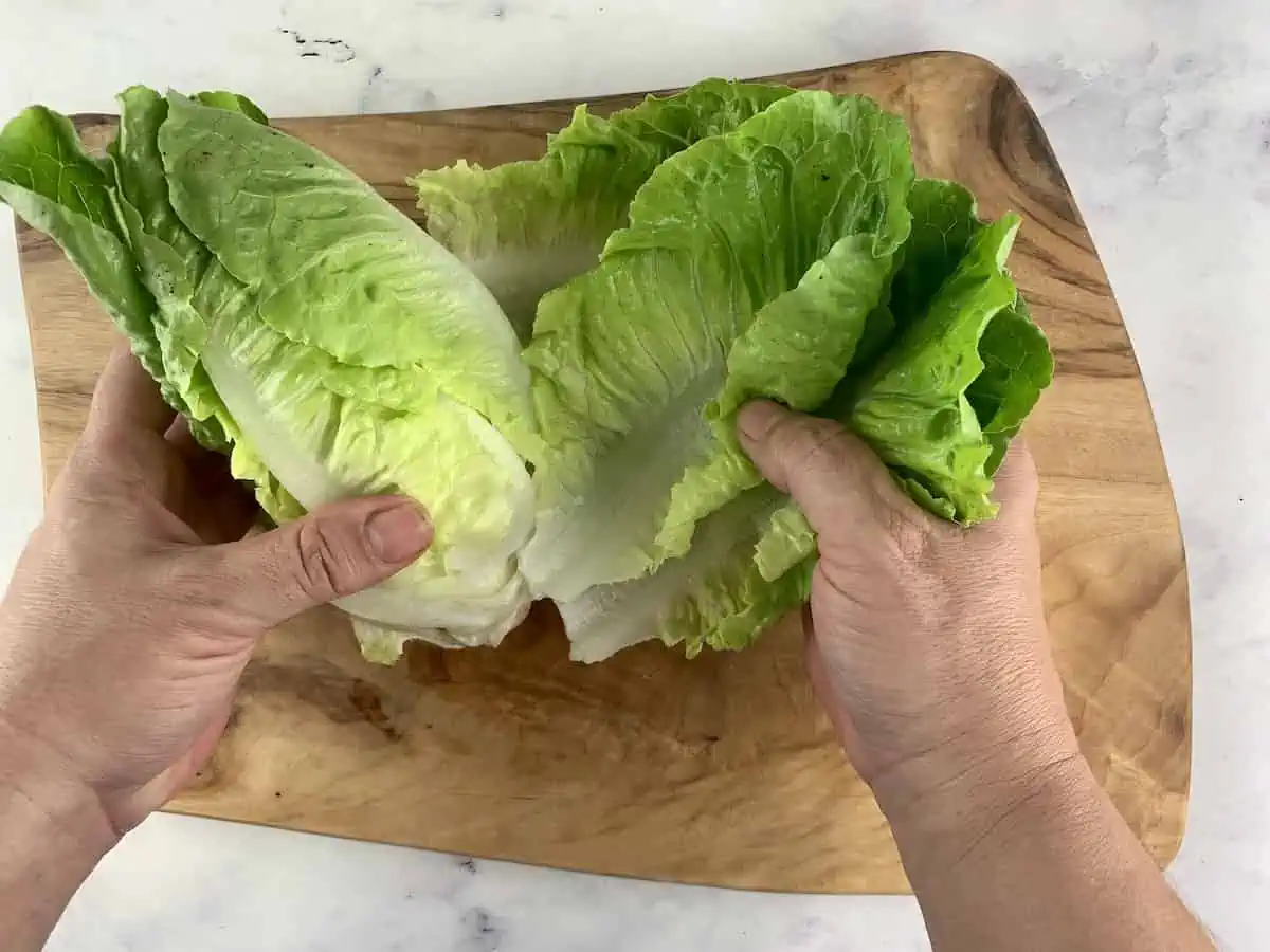 Hands separating gem lettuce leaves on a wooden board.