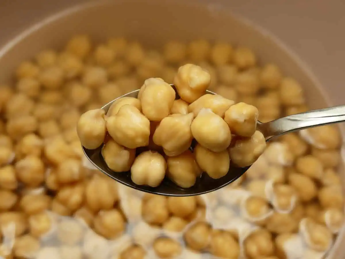 Chickpeas in a spoon over boiling chickpeas.