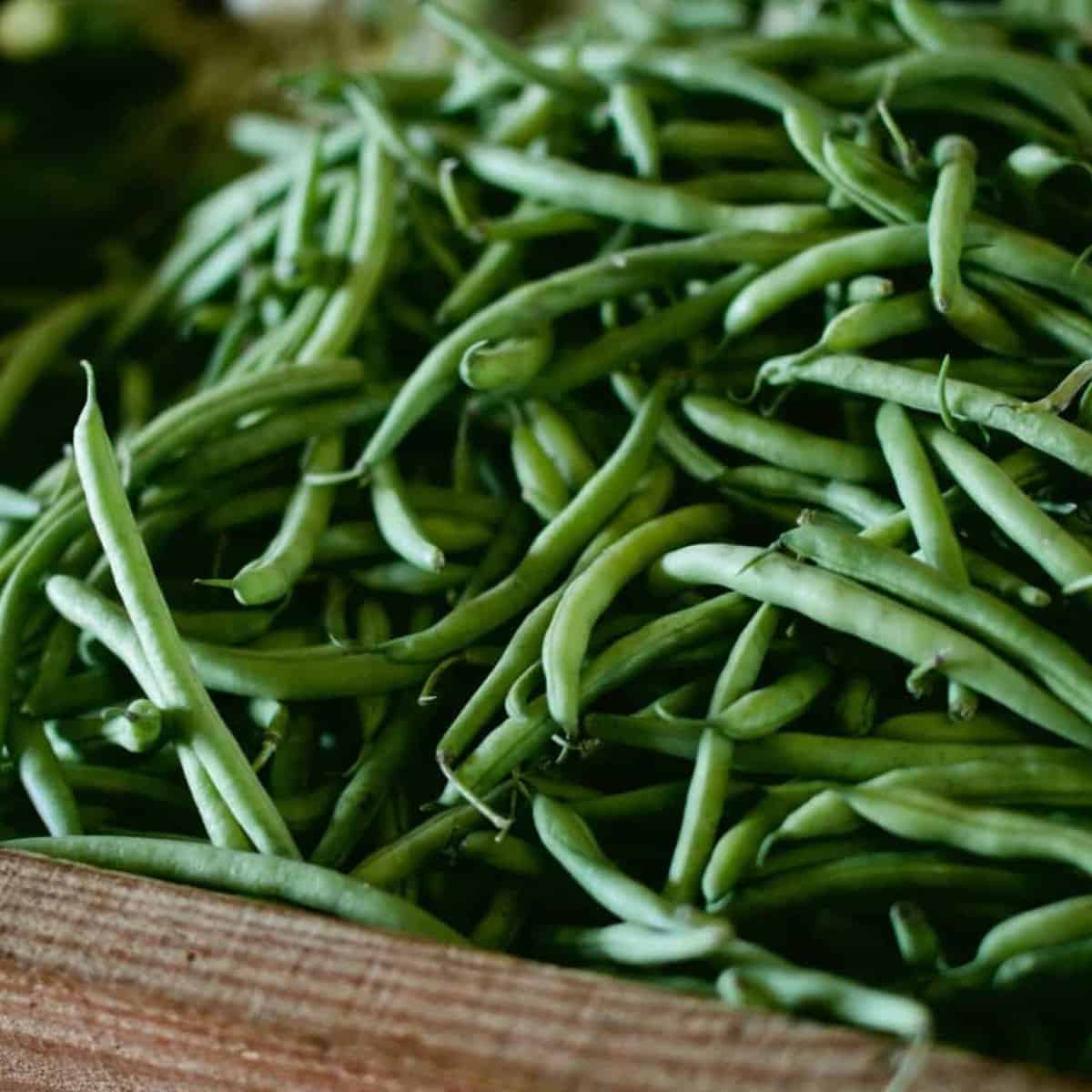 How to Trim Green Beans the fast way! Salads with Anastasia